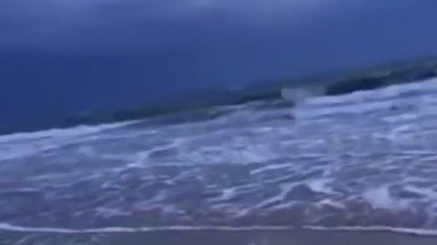 تسجيلات «الحوت الأزرق» مفبركة.. وصوته لا يسمعه البشر