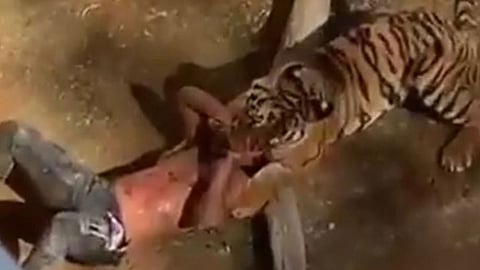 أمانة الرياض توضح ملابسات حادث حديقة الحيوان