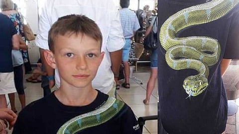 بالصور.. صورة ثعبان تمنع طفلًا من صعود طائرة بمطار جوهانسبرغ