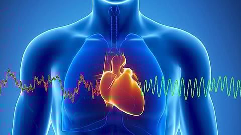 النمر يوضح العلاقة بين ارتفاع ضغط الدم والنوم