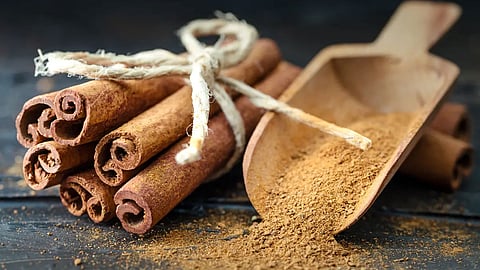 فهد الخضيري يكشف عن فوائد سحرية لـ«القرفة»