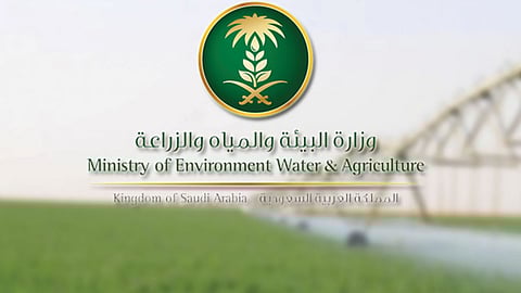 «البيئة»: إعادة توجيه «إعانات الأعلاف» قريبًا.. والصرف نهاية يناير القادم