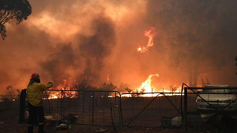 حرائق الغابات في أستراليا تقتل 500 مليون حيوان