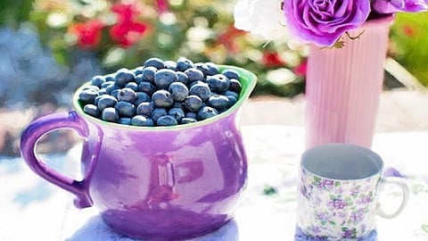 بالصور.. احذر.. 5 أطعمة مفيدة تحوي سمومًا قاتلة