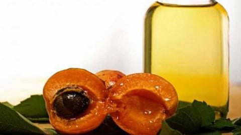زيت بذور المشمش.. إكسير جمال بشرتك