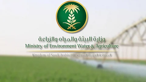 4 طرق لحماية المحاصيل الزراعية من موجات الصقيع