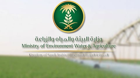 «البيئة» تبدأ تأهيل الشركات لتقديم خدمات المكافحة الميدانية لسوسة النخيل الحمراء