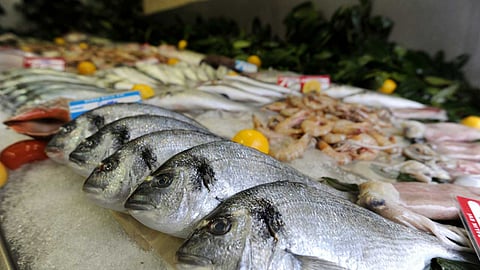 سوق لبيع المأكولات البحرية وراء انتشار الفيروس الغامض في الصين