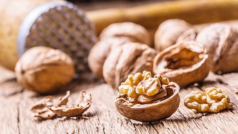 دراسة حديثة: فوائد سحرية لتناول الجوز يوميًا