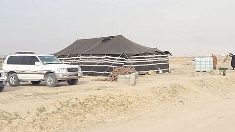 المخيمات البرية متنفس الشتاء لأهالي الأحساء