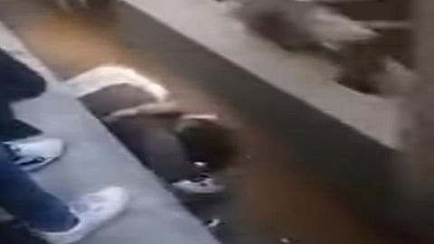 بالفيديو.. «الأب الشجاع» يروي لحظات إنقاذ ابنته من عجلات قطار مصري