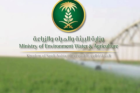 بدء قبول طلبات دعم المزارعين والنحالين والصيادين بمكة