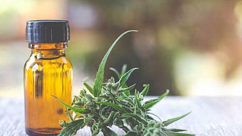 5 فوائد لـ«السيروم» المحتوي على زيت القنب