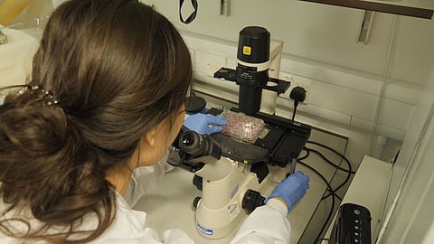 علماء بريطانيون يقتربون من إنتاج لقاح لعلاج «كورونا»