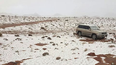 الحصيني: غدًا الاثنين أول أيام نوء العقارب وهجمات البرد المباغتة