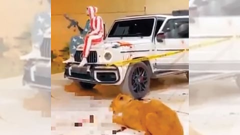 بالفيديو.. النيابة العامة تحقق مع صاحب واقعة إطلاق النار والاستعراض بسلاح رشاش