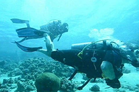 بالفيديو.. الملك عبد الله الثاني وولي عهده ينظفان مياه العقبة