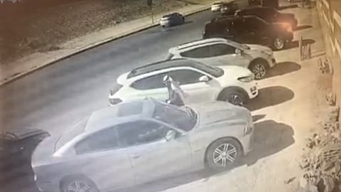 بالفيديو: شاب يكسر زجاج سيارة ويسرق حاسوبًا في وضح النهار بالرياض