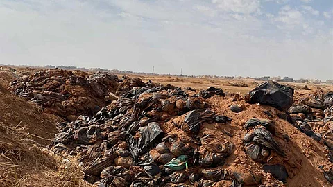 العثور على أكوام دجاج نافق شرق خصيبة الأسياح