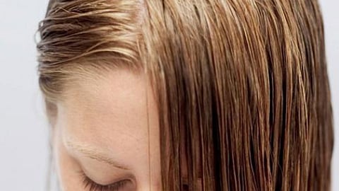 نصائح للنساء ذوات الشعر الدهني.. هذه المادة تسبب جفاف فروة الرأس