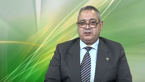 بالفيديو.. لمزارعي النخيل.. 6 نصائح مهمة لحصاد عالي الجودة