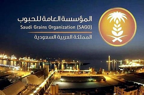 الحبوب: استيراد 715 ألف طن قمح ضمن الدفعة الأولى لـ2020