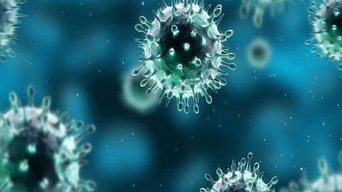 8 إجراءات للوقاية من فيروس كورونا