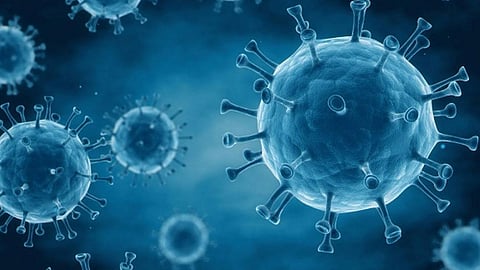 4 أسباب وراء تزايد انتشار فيروس كورونا داخل الحدود الإيرانية