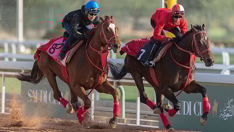 انطلاق فعاليات أغلى سباقات الخيل في العالم «كأس السعودية» بالرياض