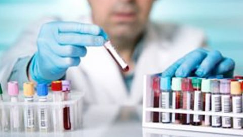 «أوقاف الجزائر»: إجراءات المملكة بشأن «كورونا» واجبة في الشريعة وكافة القوانين الوضعية