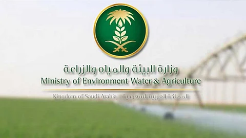 بزيادة 52% عن عام 2018..«البيئة» تصدر 400 ترخيص لمشاريع زراعية في 2019