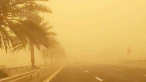 كراني: وداعًا للشتاء.. والربيع يتقدم على أجواء المملكة