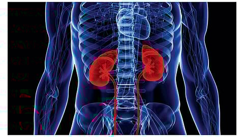 متلازمة «بارتر».. كل ما تريد معرفته عن المرض الوراثي النادر