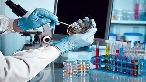 بالفيديو.. «متحدث الصحة» يشدد على ضرورة إفصاح العائدين للمملكة عن جهة القدوم