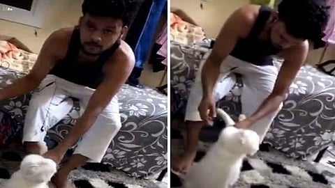 شاهد.. وافد هندي يعذب قطة داخل غرفة إقامته بالمدينة المنورة