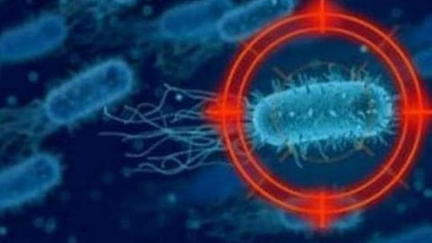 العراق يغلق منافذه الحدودية مع إيران لمنع إصابة مواطنيه بفيروس «كورونا»