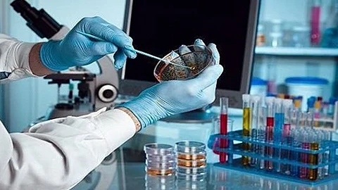 ارتفاع إصابات كورونا في التشيك إلى 21 حالة