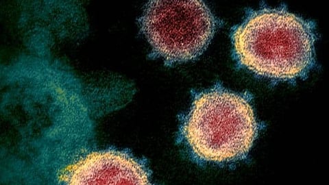 إجراءات القطيف تؤكد صرامة المملكة في حماية المواطنين من «فيروس كورونا المستجد»