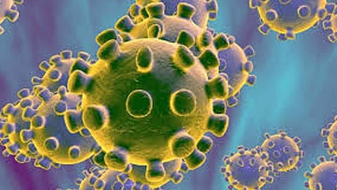 دراسة حديثة تحدد مدة عيش كورونا على البلاستيك والفولاذ المقاوم للصدأ