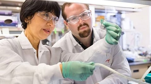 شركتان عالميتان تبحثان 500 جسم مضاد للتوصل إلى علاج كورونا