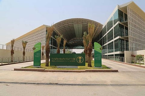 تكثيف الجولات الرقابية على أسواق الشرقية للتأكد من توافر المنتجات للمواطنين