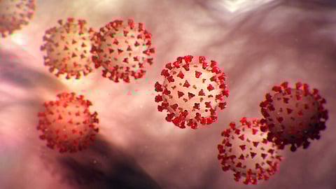 وزراء الاتحاد الأوروبي يناقشون عودة السياح العالقين بسبب كورونا