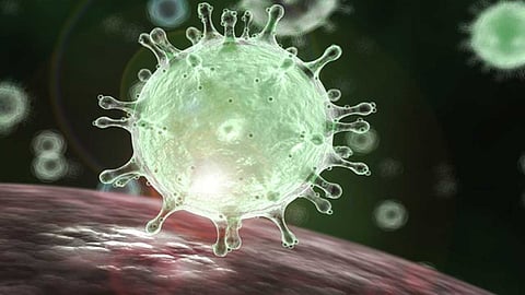 بالأرقام.. وزارة البلديات تعزز حضورها التقني خلال أزمة كورونا