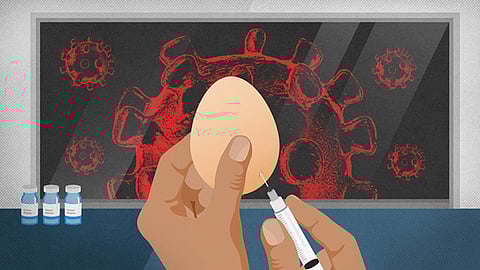 مواقع سرية وحراسة مُشدَّدة.. كيف تصنع الولايات المتحدة لقاح البرد؟