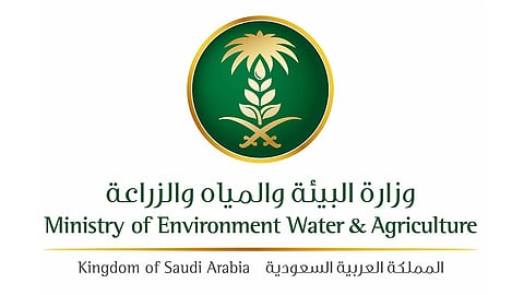 وزارة الزراعة عن مياه الأمطار السنوية بالمملكة: 166 مليار متر مكعب