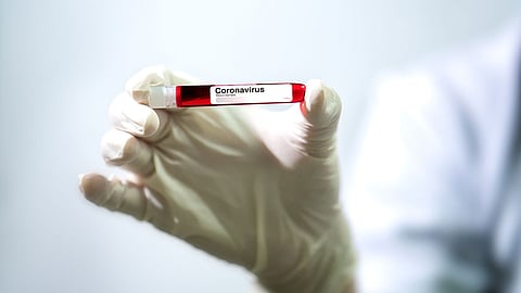 الصحة: 6 معلومات علمية حول فيروس كورونا