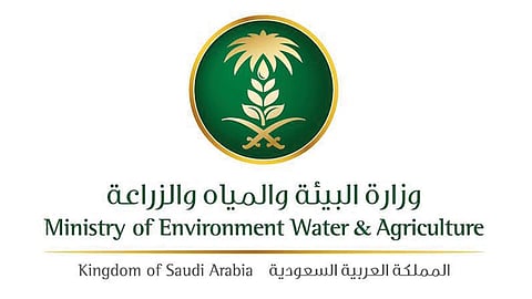 البيئة: رفع الحظر عن استيراد المواشي من جمهورية جيبوتي