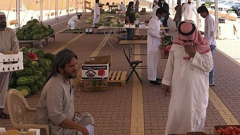 بالصور.. تطبق الإجراءات الاحترازية بأسواق ومواقع بيع المواشي في مكة