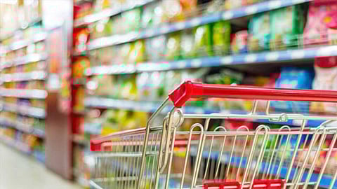 بـ30 مليون نخلة.. طريق المملكة الأخضر يعزز منظومة الأمن الغذائي