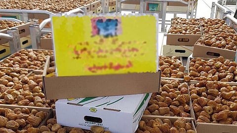 رمضان ينعش أسواق التمور.. و 45 صنفًا يجذب عيون المستهلكين بالقصيم